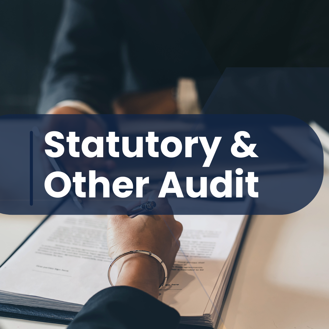 Statutory & Other Audit